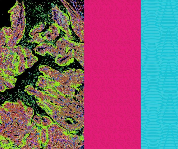 Core Proteomics Biomarker Panels | Vizgen